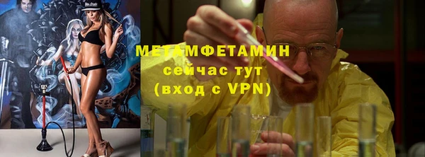 индика Верхний Тагил