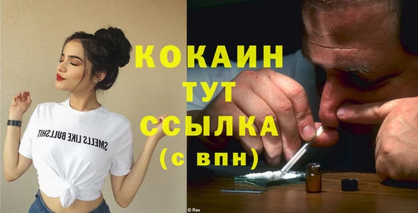 индика Верхний Тагил