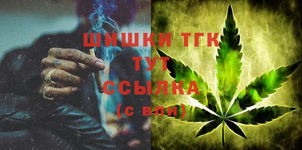 индика Верхний Тагил