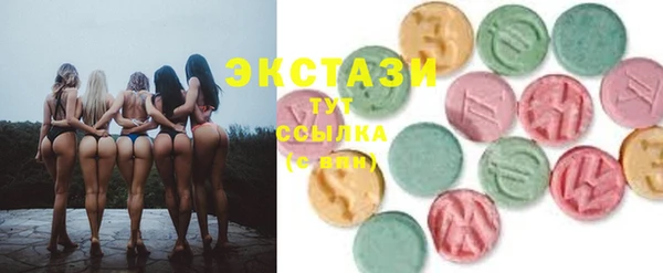 индика Верхний Тагил