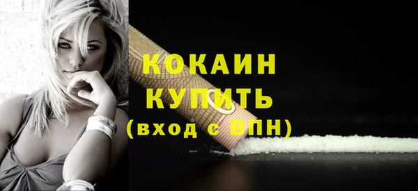 индика Верхний Тагил