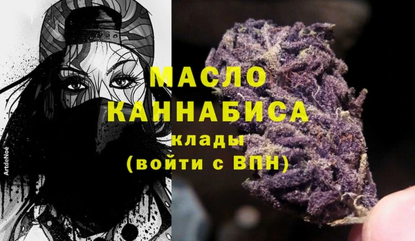 индика Верхний Тагил