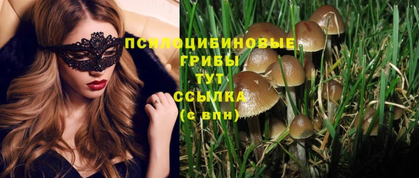 спайс Верея