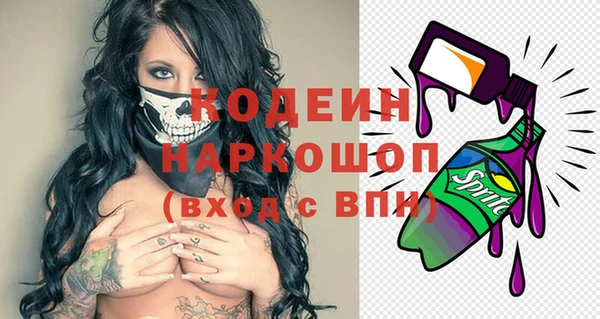 индика Верхний Тагил