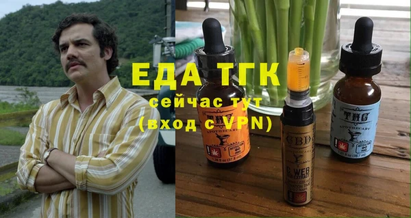 индика Верхний Тагил
