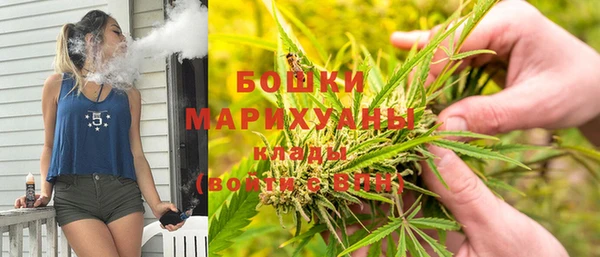 индика Верхний Тагил
