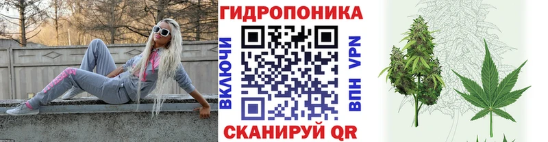 Бошки Шишки ГИДРОПОН  Орехово-Зуево 